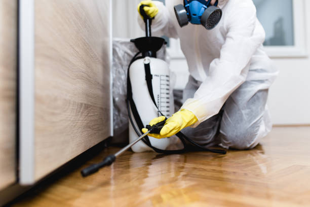Best Rat Extermination Near Me  in Lake City, GA