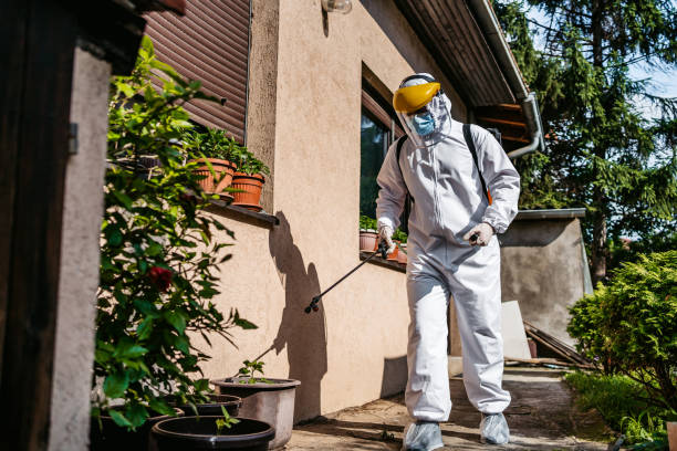 Best Bed Bug Extermination  in Lake City, GA
