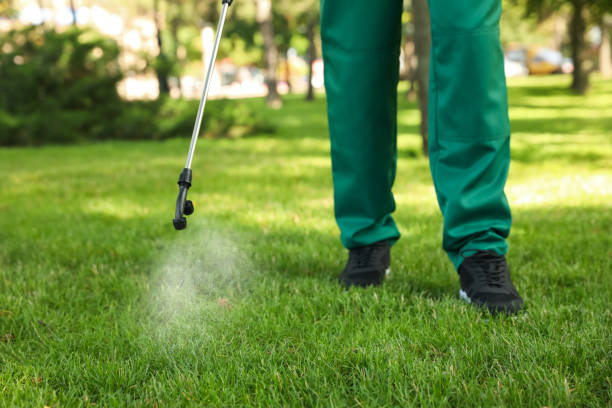 Best Mosquito Control Services  in Lake City, GA