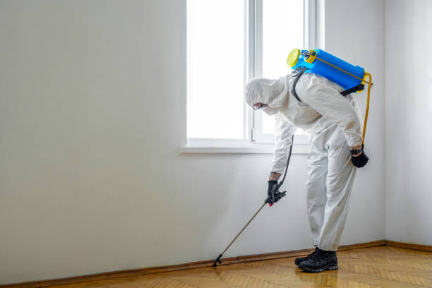 Best Emergency Pest Control  in Lake City, GA