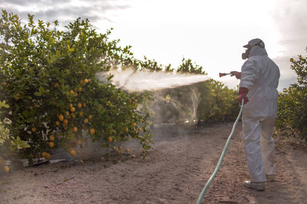 Best Wasp Removal Services  in Lake City, GA