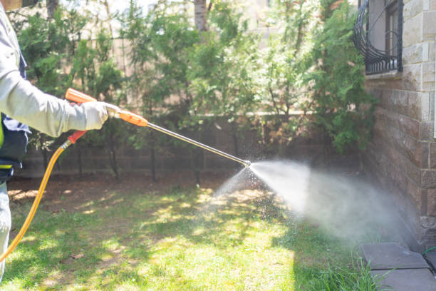 Best Local Pest Control Services  in Lake City, GA