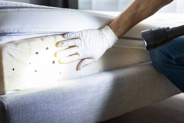 Professional Pest Control in Lake City, GA