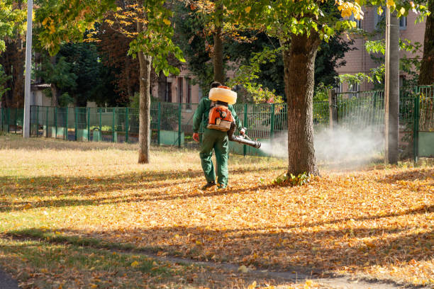 Bird Control in Lake City, GA