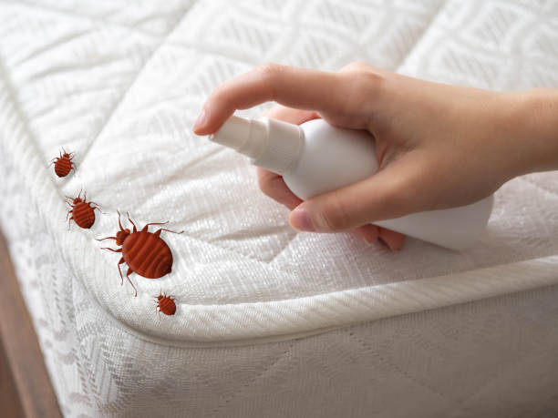 Trusted Lake City, GA Pest Control Experts