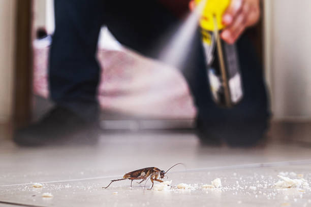 Pest Control Cost in Lake City, GA