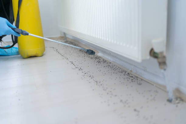 Best Pest Prevention Services  in Lake City, GA