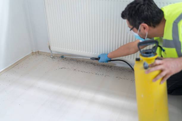 Best Termite Control Services  in Lake City, GA