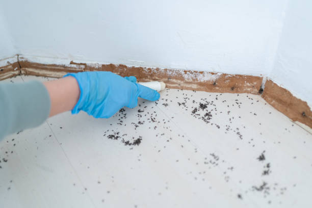 Pest Control for Restaurants in Lake City, GA