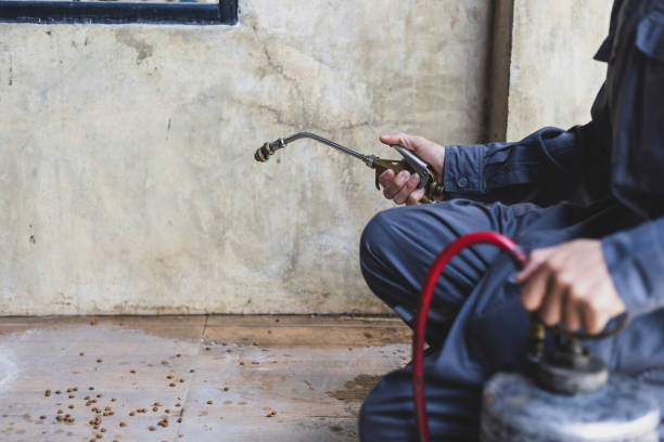 Best Pest Removal Services  in Lake City, GA
